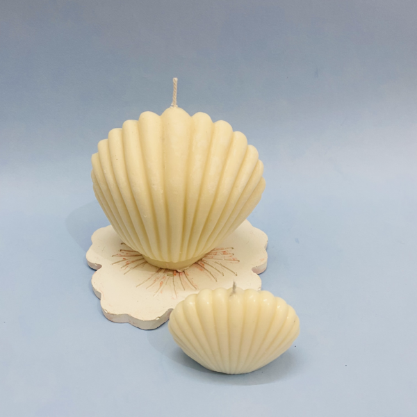 Sea lover Shell Candle Combo