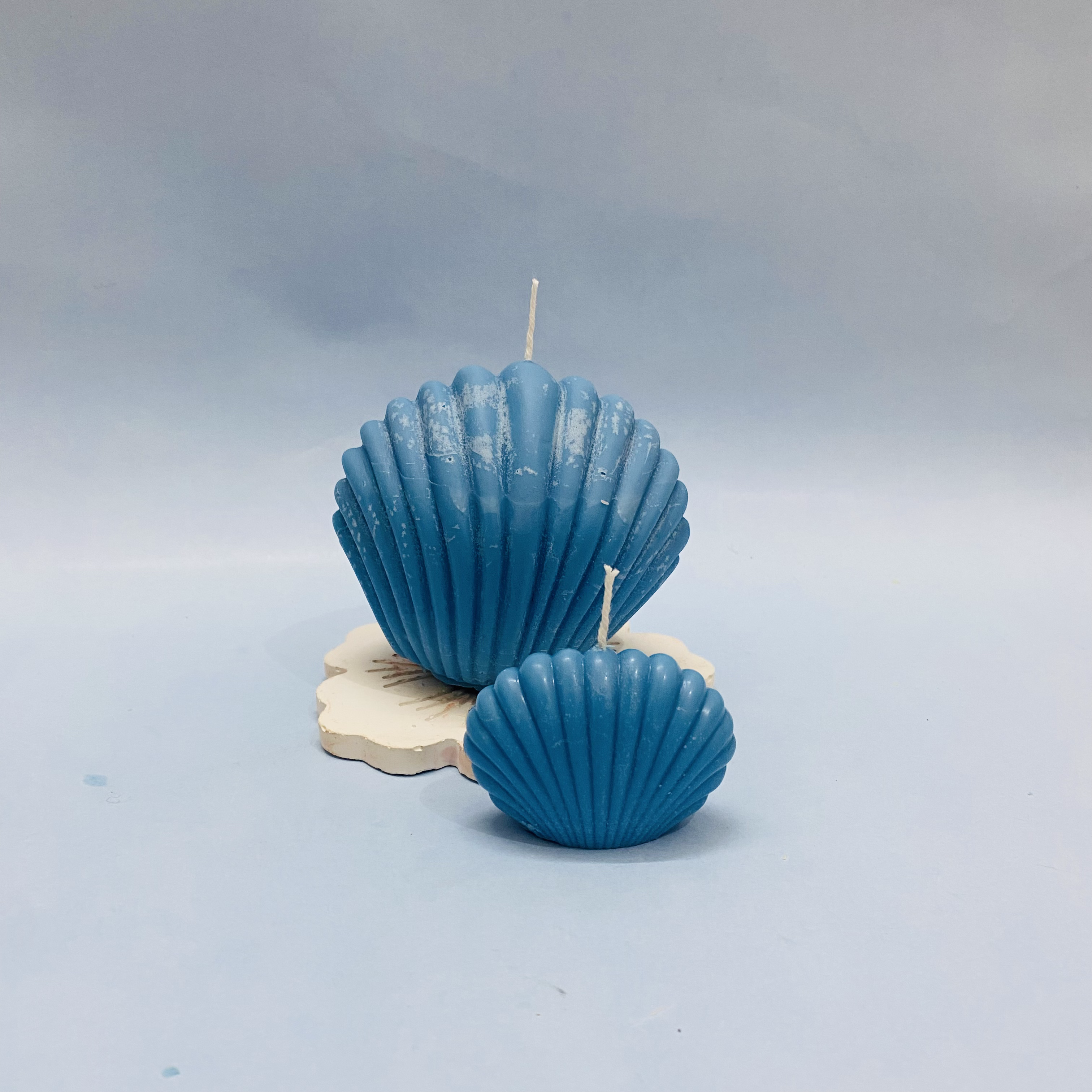 Sea lover Shell Candle Combo