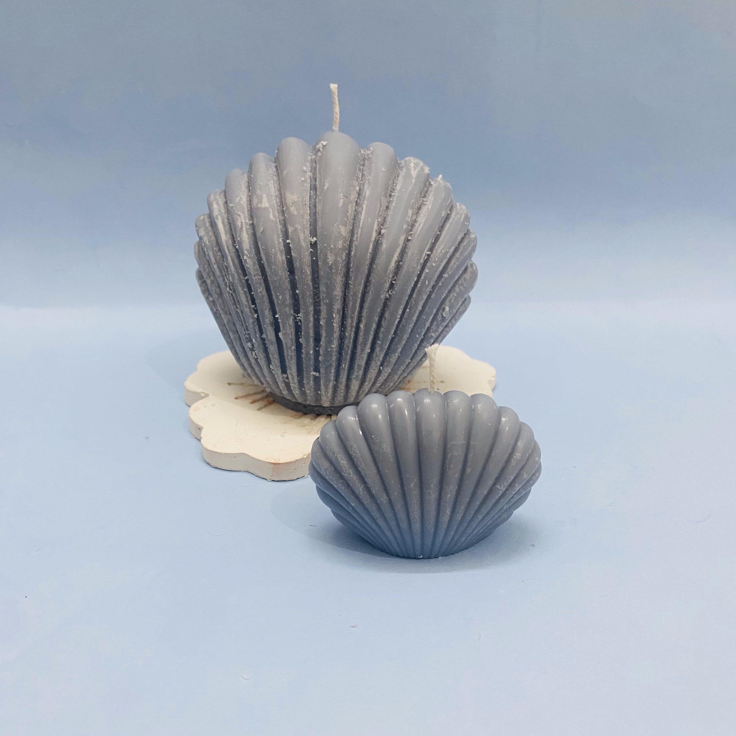 Sea lover Shell Candle Combo